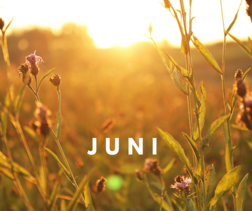 Status-Update Juni – Ende der Vorbereitungen