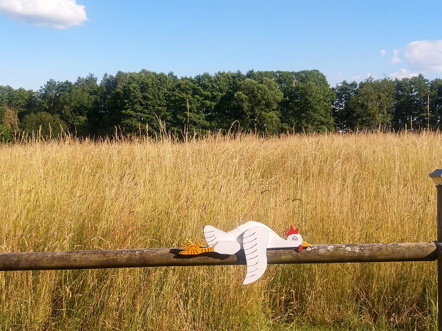 Die ersten Tage – bei Mölln, Ratzeburg und Schaalsee