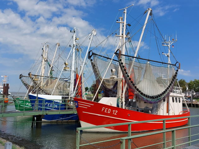 Wind + Wetter, Ebbe + Flut an der Nordseeküste