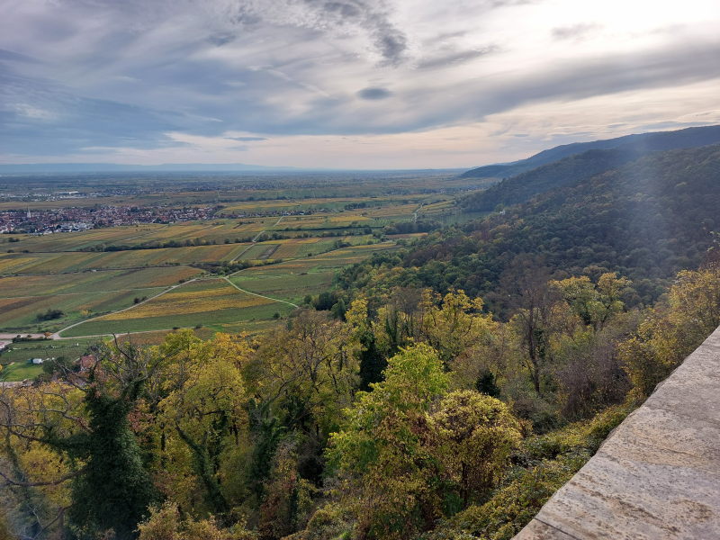 In der Pfalz