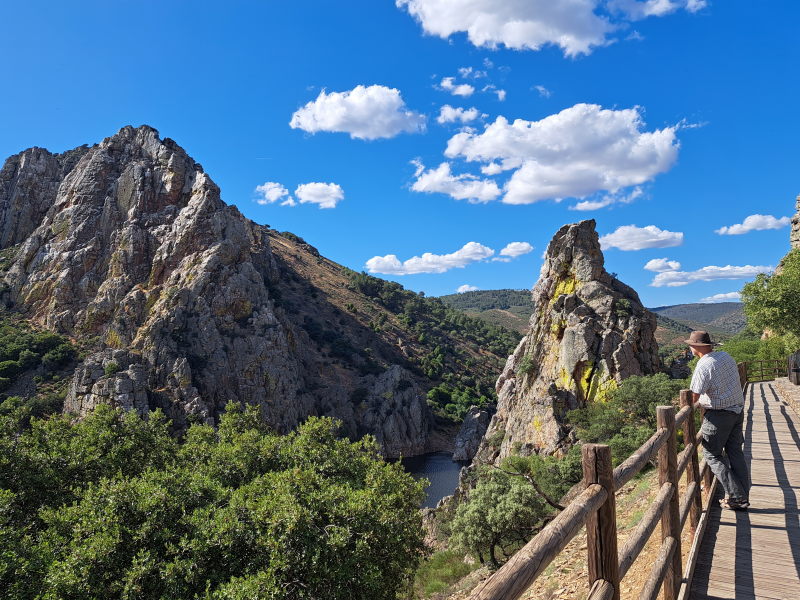 Monfragüe – von Alimoche bis Zwergohreule