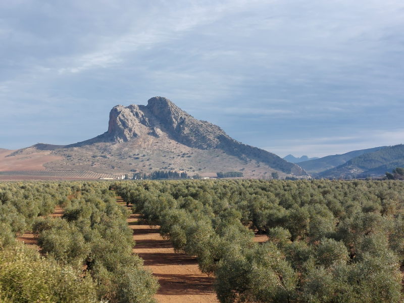 Natur und Kultur bei Antequera