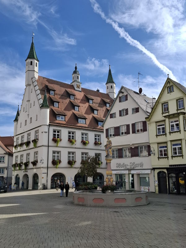 Tinys im Nebel, Sonne in Biberach