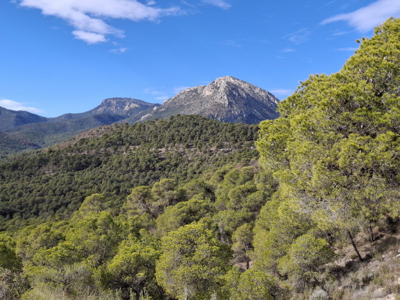 Wandern in der Sierra Espuna