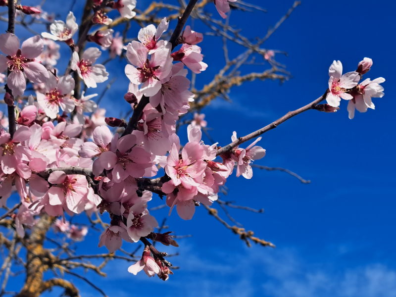 Fussmatte, Freunde, Felsbögen