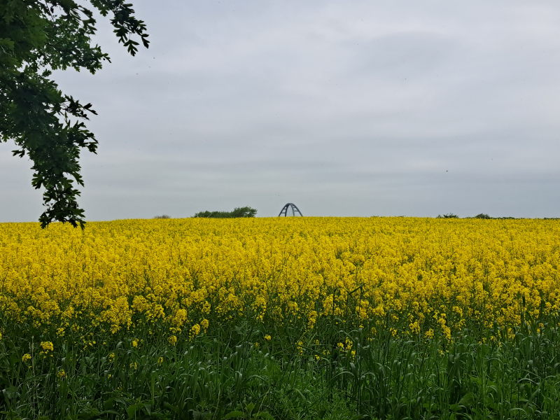 Freunde, Familie und Fahrrad-Touren